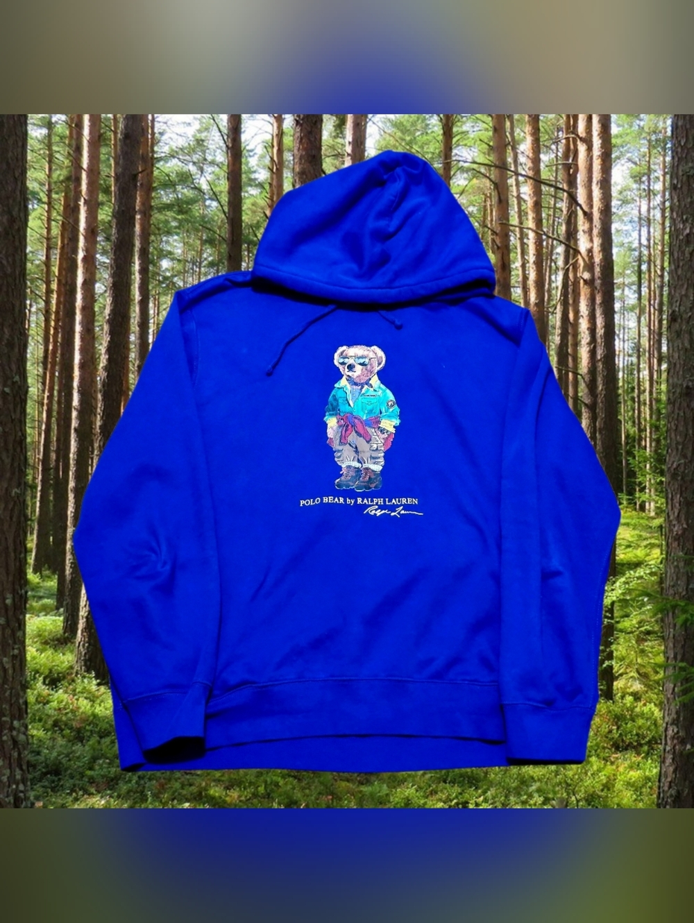 Polo by Ralph Lauren Royal Blue Polo Bear Crewneck Hoodie